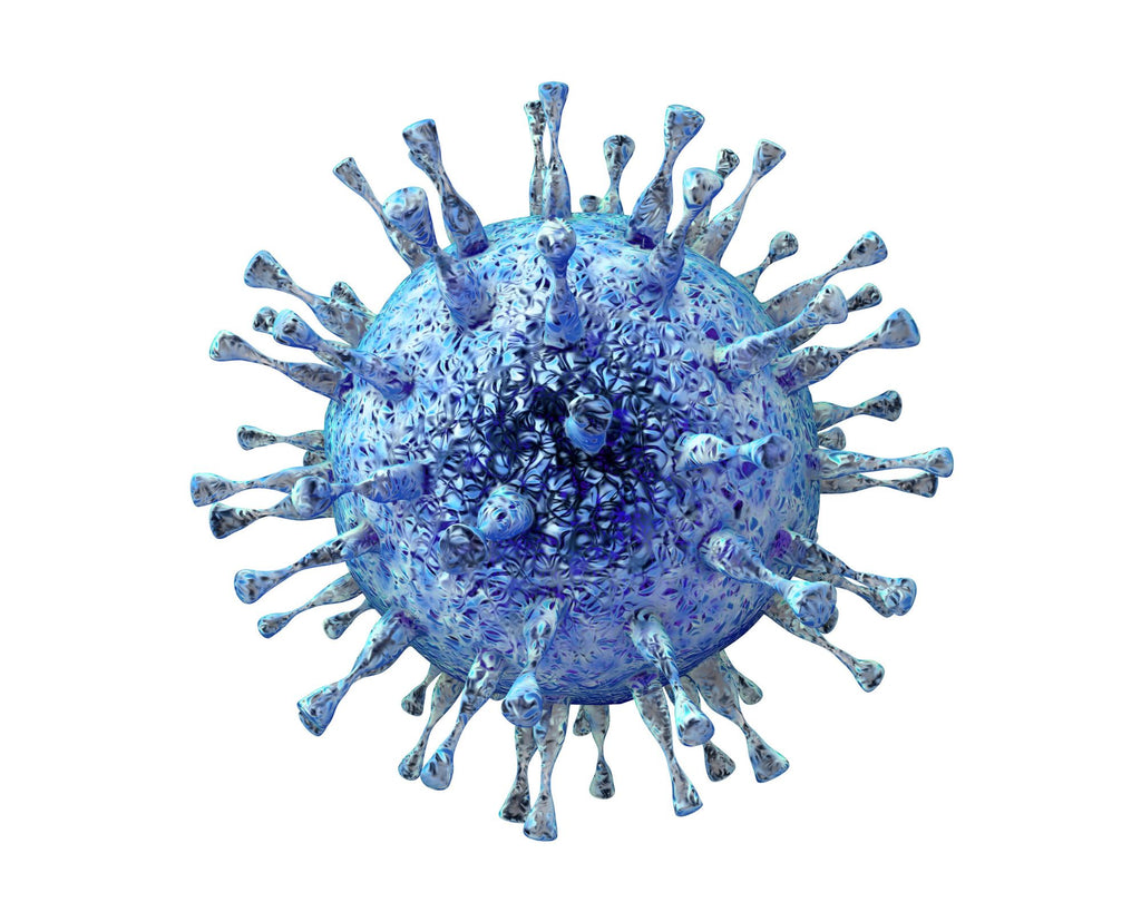 Auto-immune, Infectious Diseases & Allergies Journey, 5 Sessions