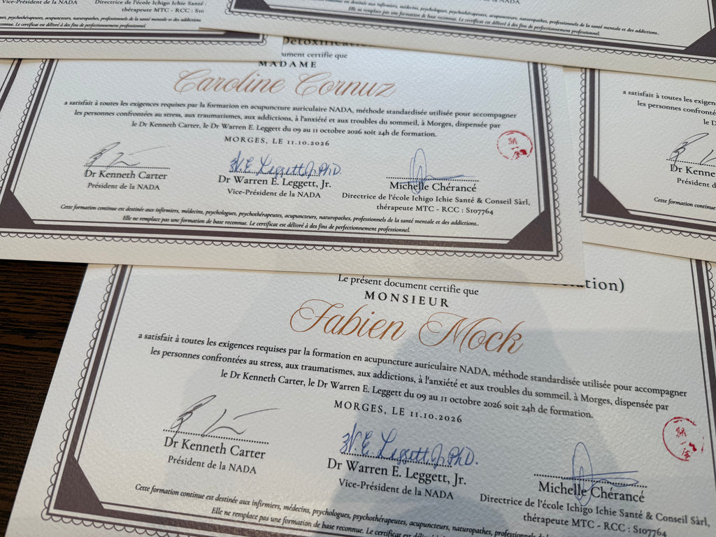 Séminaire International NADA 2027 - Formation certifiante ADS | Morges, Août