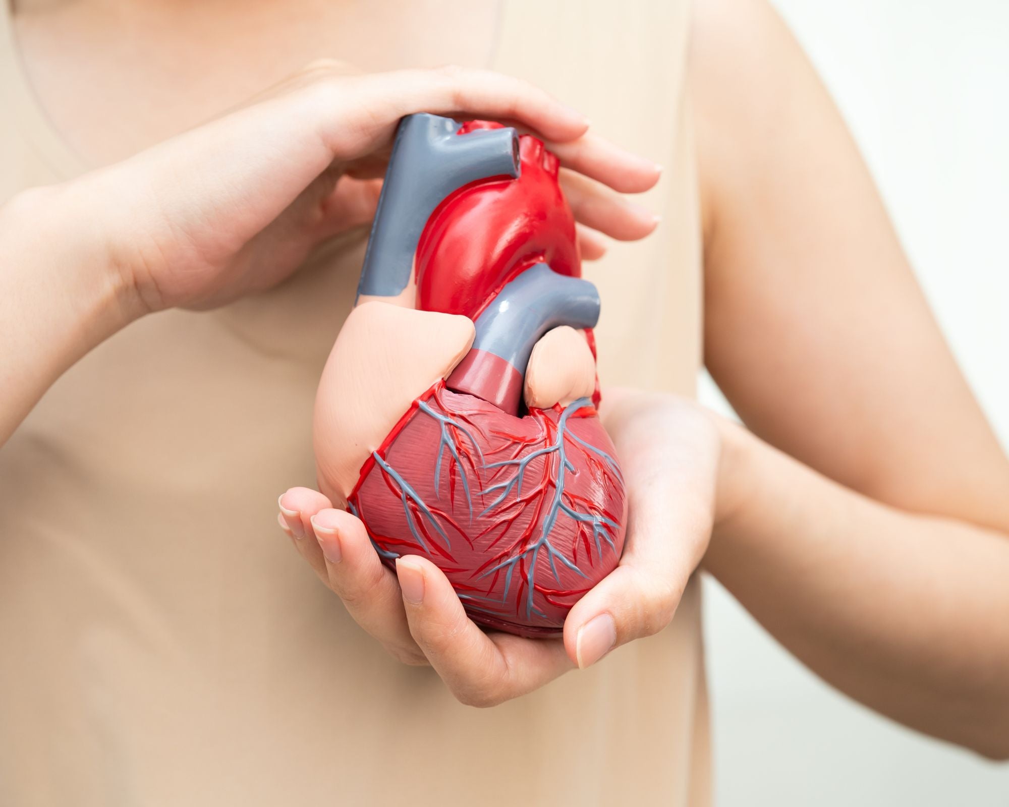 Heart & Balance Journey, 5 Sessions